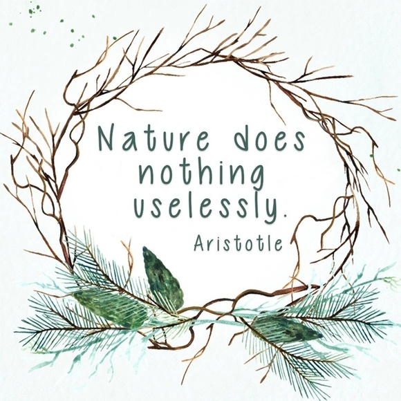 𝅺nature does nothing uselessly. Aristotle - Picture 1 of 1
